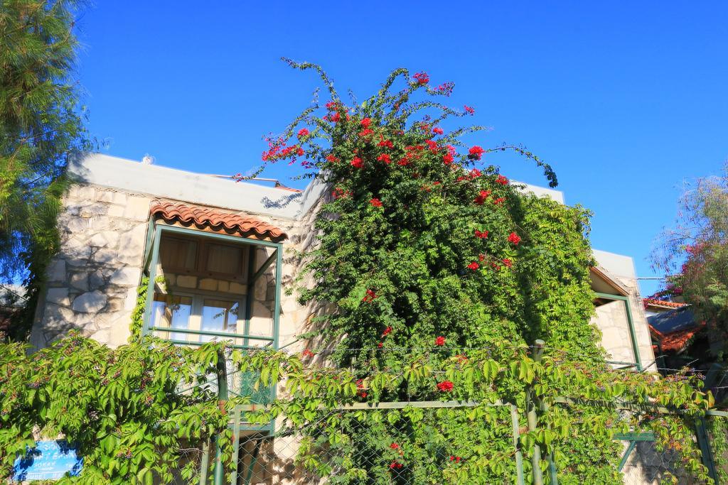 Green House Apart Hotel Gumbet Bagian luar foto